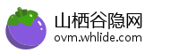 山栖谷隐网